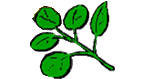 Betonz&auml;une E. Kowalewski